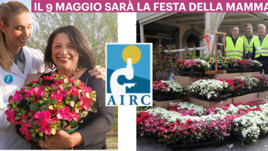 L’AZALEA DELLA RICERCA A FAVORE DELL’AIRC