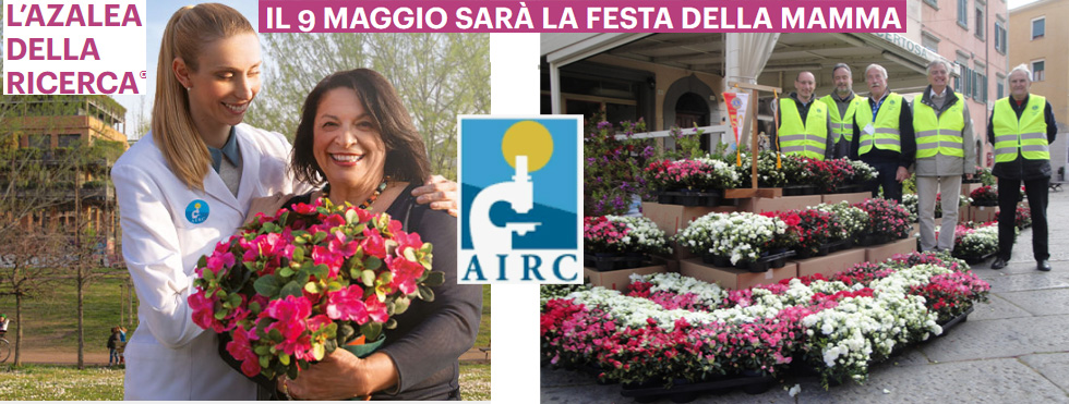 L’AZALEA DELLA RICERCA A FAVORE DELL’AIRC