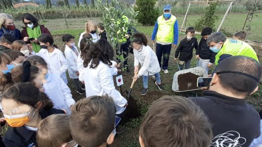 GIORNATA NAZIONALE DEGLI ALBERI