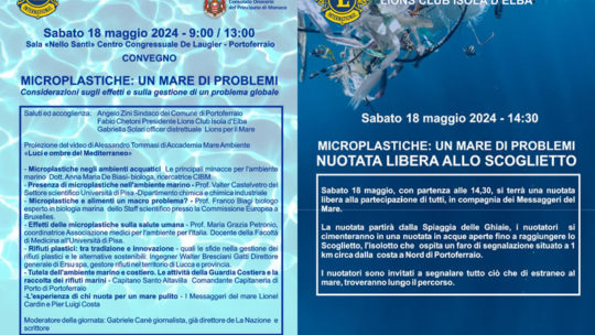Microplastiche: un mare di problemi